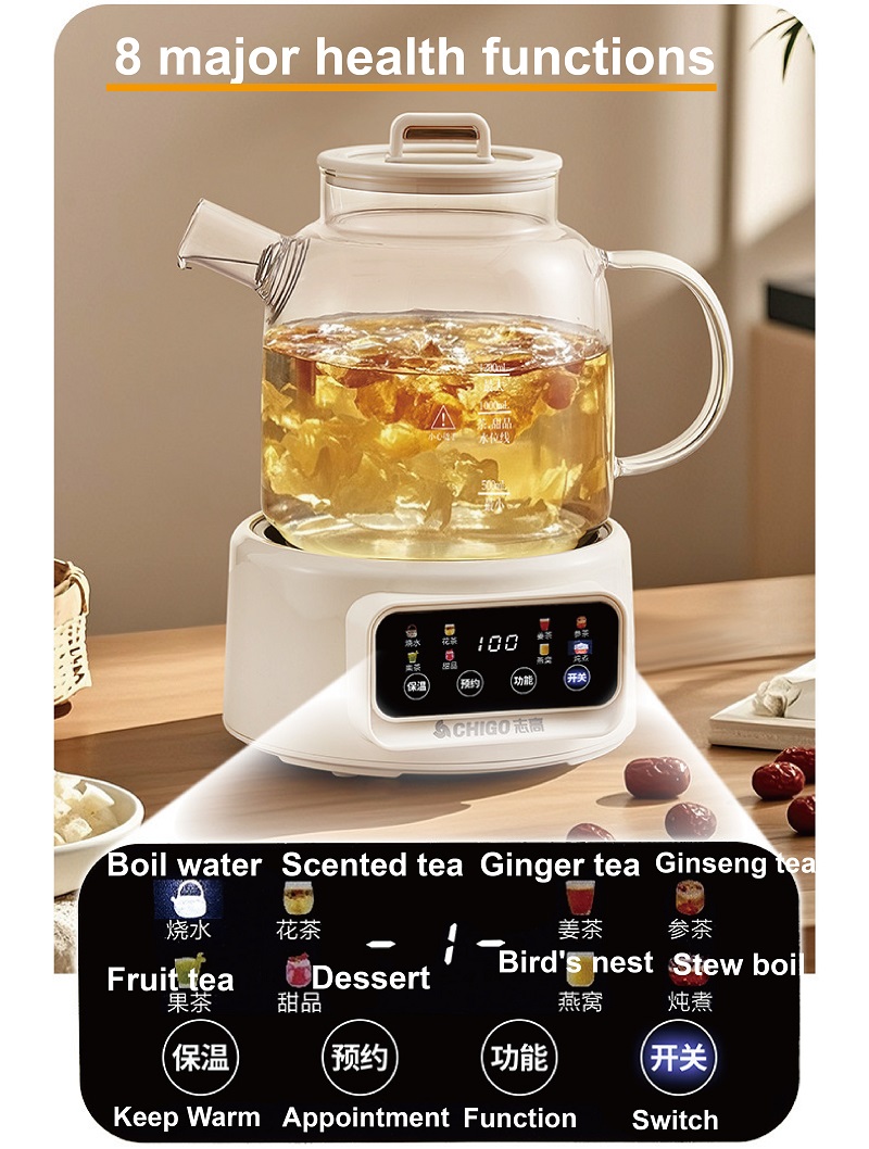 600W Multi-function Health Ket - đánh giá và giá Electric Kettle Temperature Control