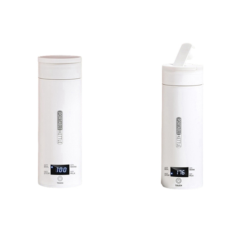 DT39 Portable Travel Electric  - đánh giá và giá Electric Kettle Temperature Control